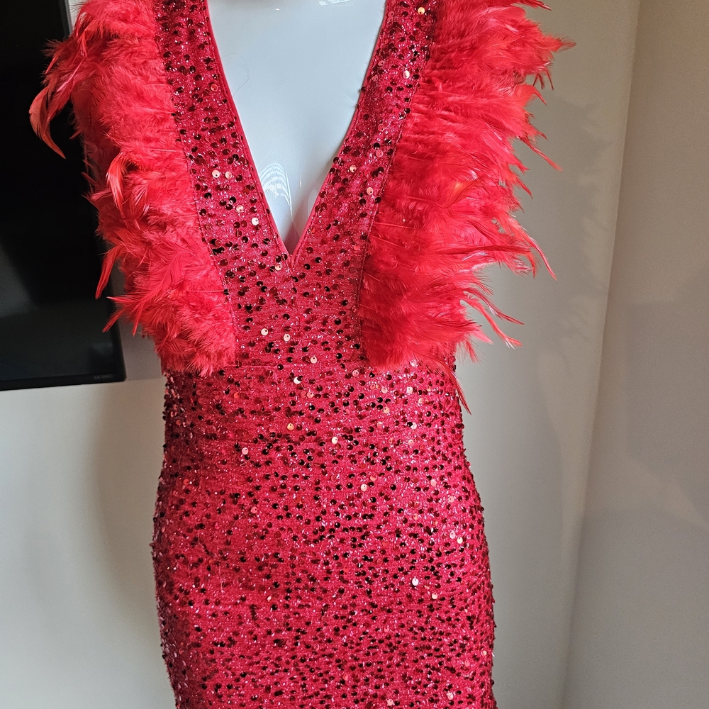 Red Sequin Dress with Feather Trim